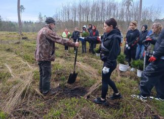 PRZYSZLI ARCHITEKCI KRAJOBRAZU Z TARNOBRZESKIEGO “ROLNIKA” ODNOWILI DRZEWOSTAN NADLEŚNICTWA NOWA DĘBA