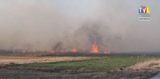 2024.04.04 – NIE PODPALAJ TRAW!