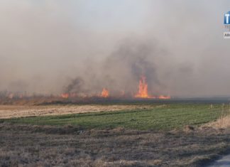 2024.04.04 – NIE PODPALAJ TRAW!