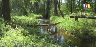 2024.04.17 – DOLINA SMARKATEJ REZERWATEM