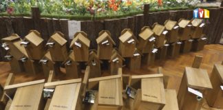 2024.04.21 – PTASIE DOMKI NA DZIEŃ ZIEMI