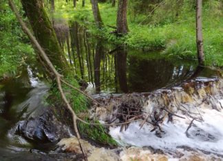 DOLINA SMARKATEJ REZERWATEM PRZYRODY