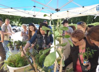 2024.05.12 – OWOCNE KWIATOBRANIE