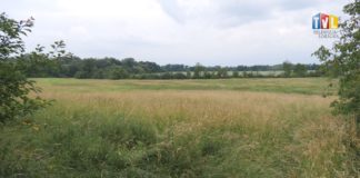 2024.06.13 – BĘDZIE FARMA NA SKARPIE?