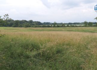 2024.06.13 – BĘDZIE FARMA NA SKARPIE?