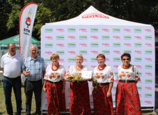 FASOLA PODBIŁA PODNIEBIENIA JURORÓW