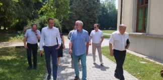 REWITALIZACJA PARKU DZIKOWSKIEGO – ZNAMY SZCZEGÓŁY