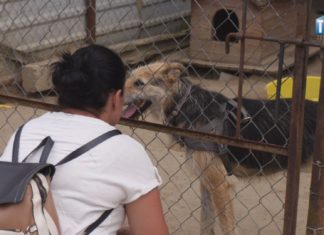 2024.06.30 – DZIEŃ Z MACHOWIAKAMI