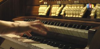 2024.07.11 – LATO Z ORGANAMI