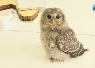 2024.07.30 – NA SOWIM TALERZU