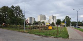 TRWAJĄ PRACE PRZYGOTOWAWCZE POD BUDOWĘ KFC W TARNOBRZEGU