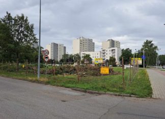 TRWAJĄ PRACE PRZYGOTOWAWCZE POD BUDOWĘ KFC W TARNOBRZEGU