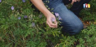 2024.08.06 – CO KRYJĄ TARNOBRZESKIE ŁĄKI?