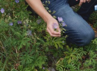 2024.08.06 – CO KRYJĄ TARNOBRZESKIE ŁĄKI?