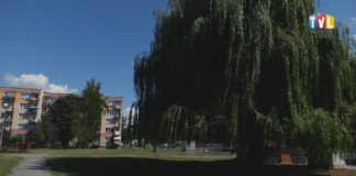 2024.08.07 – LETNIE REMONTY TSM