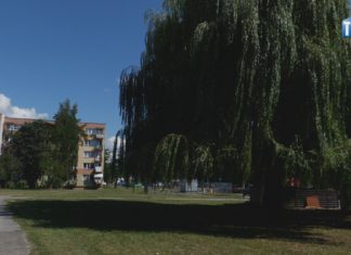 2024.08.07 – LETNIE REMONTY TSM