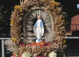 2024.08.15 – DOŻYNKOWE ŚWIĘTOWANIE