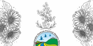 PAŹDZIERNIKOWA KWIATOWYMIANA