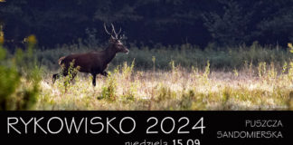 RYKOWISKO 2024