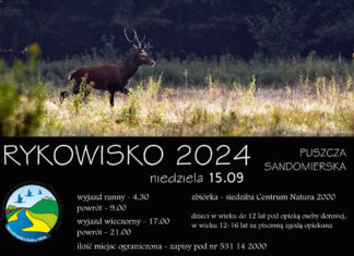RYKOWISKO 2024