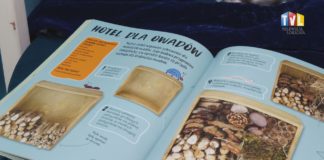 2024.10.08 – BIBLIOTEKA KSIĄŻKĘ POLECA – “LAS WITA WAS!”