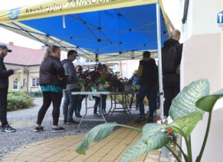 2024.10.06 – KWIATOWYMIANA W JESIENNEJ AURZE