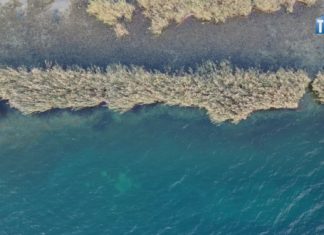 2024.10.09 – TARNOBRZEG CENTRUM RATOWNICTWA?