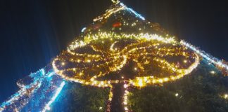 2024.11.28 – BEZ CHOINKI NA ŚWIĘTA