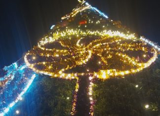 2024.11.28 – BEZ CHOINKI NA ŚWIĘTA