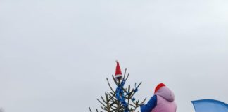 CHOINKA NAD JEZIOREM TARNOBRZESKIM