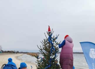 CHOINKA NAD JEZIOREM TARNOBRZESKIM