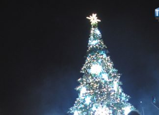 2024.12.11 – CHOINKA ROZBŁYSŁA