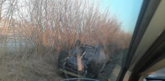 DACHOWANIE PO ZDERZENIU Z SARNĄ