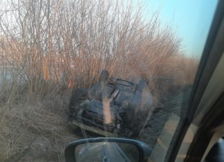 DACHOWANIE PO ZDERZENIU Z SARNĄ