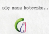 PIOSENKA “CHORY KOTEK” W WYKONANIU SARY TRUBIŁOWICZ ROBI WRAŻENIE! SAMI POSŁUCHAJCIE