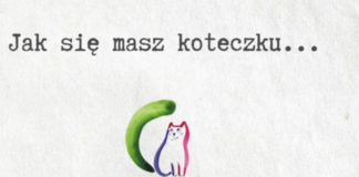 PIOSENKA “CHORY KOTEK” W WYKONANIU SARY TRUBIŁOWICZ ROBI WRAŻENIE! SAMI POSŁUCHAJCIE