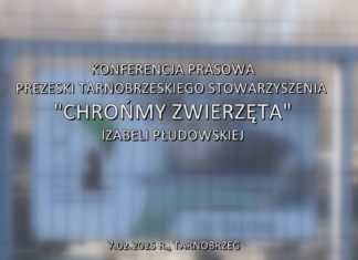 2025.02.07 – KONFERENCJA PRASOWA PREZESKI STOWARZYSZENIA “CHROŃMY ZWIERZĘTA”