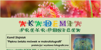 AKADEMIA PRZYRODNICZA – PIĘKNO ŚWIATA MRÓWEK