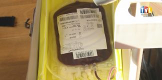 2025.03.09 – BO ŁĄCZY NAS KREW