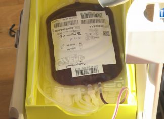 2025.03.09 – BO ŁĄCZY NAS KREW