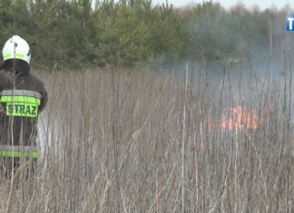 2025.03.18 – STOP POŻAROM TRAW!