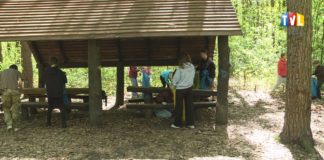 2025.04.27 – LEŚNE PORZĄDKI