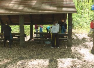 2025.04.27 – LEŚNE PORZĄDKI