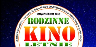 RODZINNE KINO LETNIE W PARKU DZIKOWSKIM