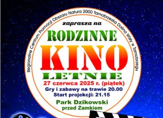 RODZINNE KINO LETNIE W PARKU DZIKOWSKIM
