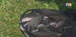 2025.06.17 – GRUPY RYBACKIE ZE WSPARCIEM