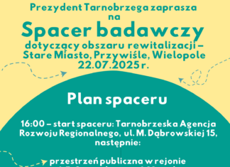 SPACER BADAWCZY – OBSZAR REWITALIZACJI STARE MIASTO, PRZYWIŚLE, WIELOPOLE
