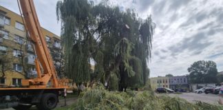 “ODBUDUJMY SERBINÓW” – RUSZYŁY PRACE ZWIĄZANE Z REALIZACJĄ PROJEKTU