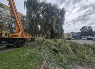 “ODBUDUJMY SERBINÓW” – RUSZYŁY PRACE ZWIĄZANE Z REALIZACJĄ PROJEKTU