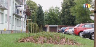 2025.07.17 – ZIELONO Z INPOST